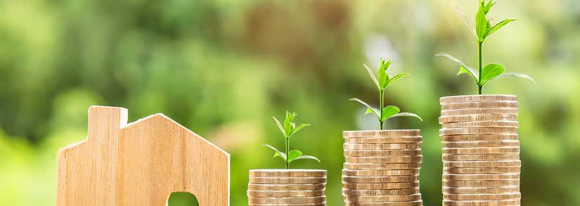 Life Insurance Policy Star Health Insurence Vehicle Insurance Vehicle Loans